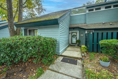 1133 Hidden Cove Dr unit 37, Mount Pleasant, SC 29464 - photo 6