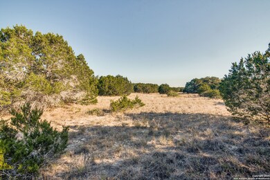 1713 Paradise Pkwy, Canyon Lake, TX 78133 - photo 7