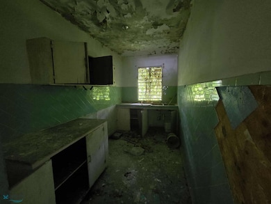 1 Bo Lomas, Canovanas, PR 00729 - photo 3