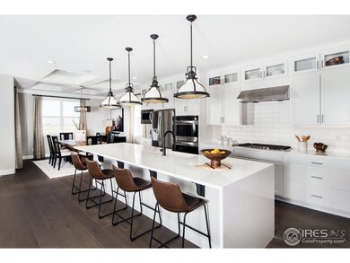 8768 Culebra St, Arvada, CO 80007 - photo 5