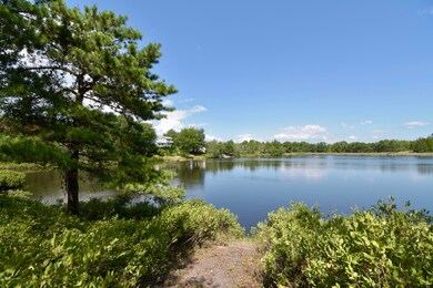 125 English Ivy Ct, Long Pond, PA 18334 - photo 4