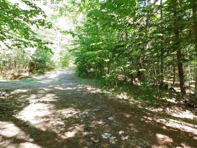 0 Slicker Rd unit Shippee Rd Rear, Day, NY 12822 - photo 5