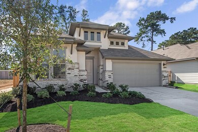 11507 Raven Claw Dr, Tomball, TX 77375 - photo 2