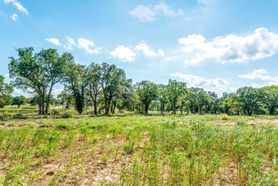 TBD Hott Ln, Weatherford, TX 76088 - photo 2