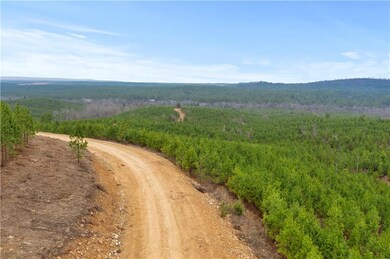 0 Lot 69 unit 989491, Broken Bow, OK 74728 - photo 3