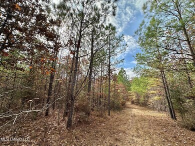 2 County Road 3122, McCool, MS 39108 - photo 6