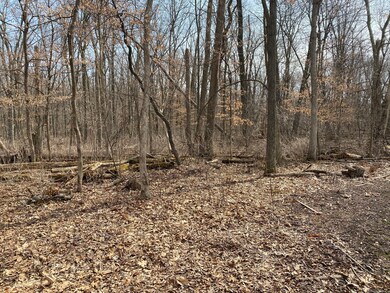 1108 Oakview Ln, Genoa, IL 60135 - photo 5