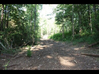 74.45 AC Macedonia Rd, Cookeville, TN 38506 - photo 3