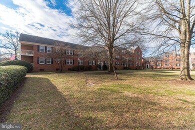 6508 Potomac Ave unit A1, Alexandria, VA 22307 - photo 7