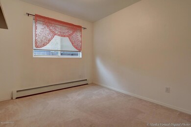 Lower Level Bedroom 3