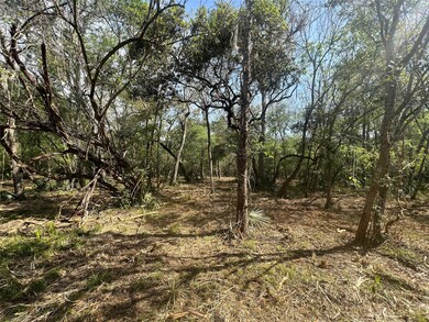 0 Cr 400 Tract 4, Brazoria, TX 77422 - photo 5