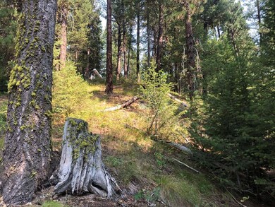 Wooded & Sloped Terrain