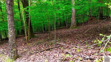 0 Overlook Dr unit Lots 42 & 39 Woodlan, Cadiz, KY 42211 - photo 5