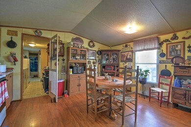 1735 Old Mountain Rd, Greeneville, TN 37743 - photo 5