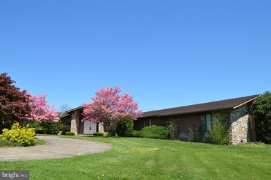 2150 Mount Olive Rd, Toms Brook, VA 22660 - photo 6