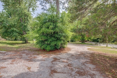 2128YauponFrontShots-1