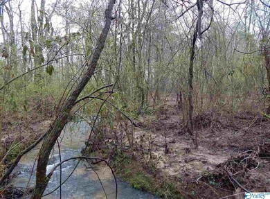 0 Randles Rd unit 1113269, Grant, AL 35747 - photo 5