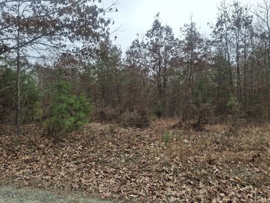 0 0 Indian Pipe Run, Palmyra, VA 22963 - photo 6