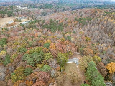 7655 Baptist Campground Rd, Northport, AL 35473 - photo 3