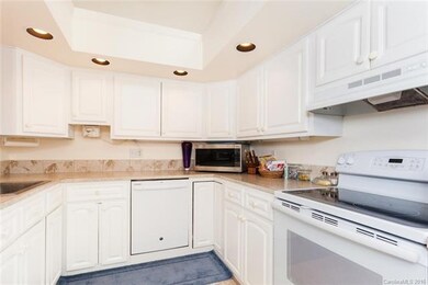 226 W Wynnbrook Dr, Hendersonville, NC 28792 - photo 7