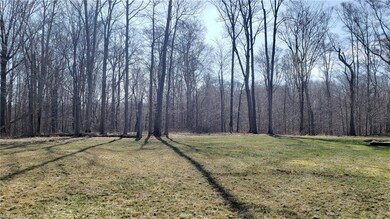 7970 Willow Brook Dr, Chesterland, OH 44026 - photo 5