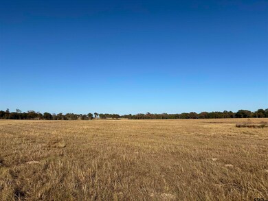 000 Fm 1653, Ben Wheeler, TX 75754 - photo 2