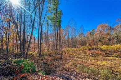 170 Hash Ln, Summerfield, NC 27358 - photo 2