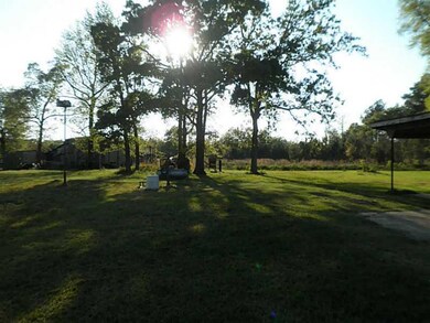 Other. Back yard