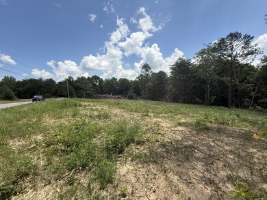 0 Coal Rd unit RTC2930385, Jamestown, TN 38556 - photo 4