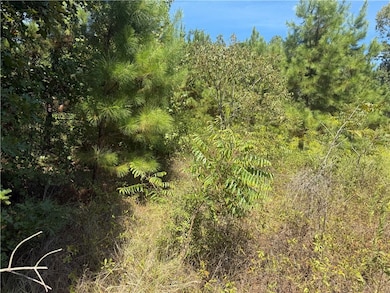 4915 Farm To Market 227, Grapeland, TX 75844 - photo 6