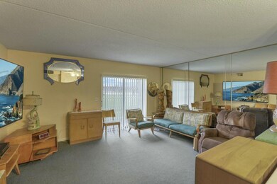 Living Room/Patio Door