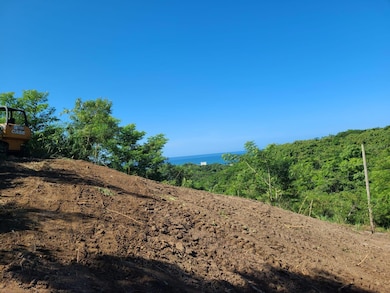 Km 5.9 Carr 413, Rincon, PR 00677 - photo 2