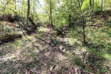 0 Cow Run Rd unit 5173911, Marietta, OH 45750 - photo 2