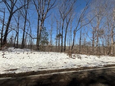 View of snowy landscape