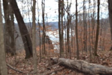 34.15ac Frogue Rd, Burkesville, KY 42717 - photo 2