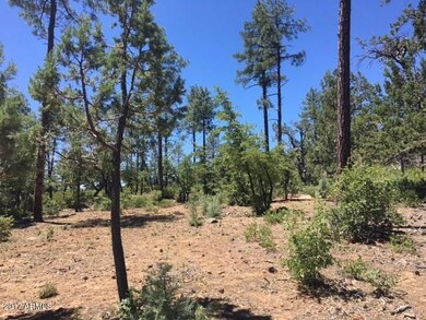 37 Strawberry Hollow Dr unit 37, Pine, AZ 85544 - photo 6