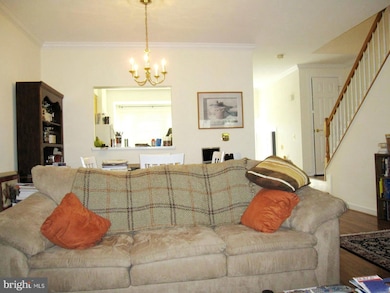 3630 Ransom Place, Alexandria, VA 22306 - photo 4