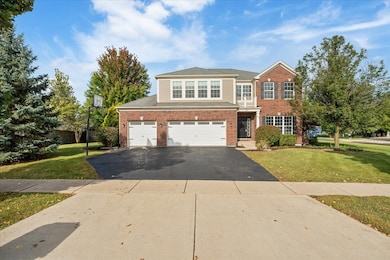 203 Tonell Ave, New Lenox, IL 60451 - photo 5