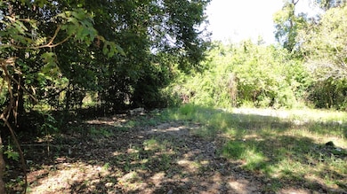 2430 Walcott Ln, Houston, TX 77088 - photo 3