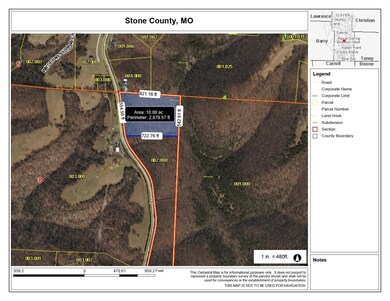 Tbd State Highway Y, Galena, MO 65656 - photo 3