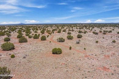 3628 E Valencia Rd unit Lot J, Williams, AZ 86046 - photo 6