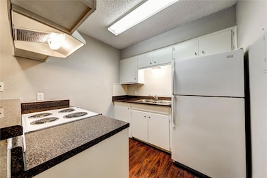 4510 Duval St unit 101, Austin, TX 78751 - photo 5