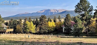 106 Stephanie Place, Divide, CO 80814 - photo 2