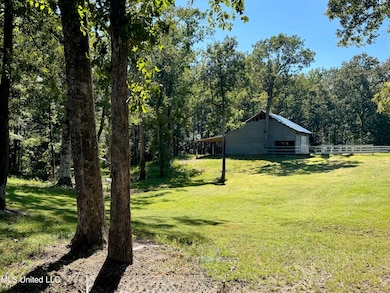 3114 Mathis Rd, Crystal Springs, MS 39059 - photo 2