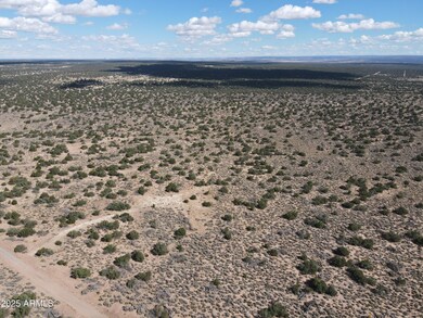 pic3.dji_fly_20231028_115716_231_1698519