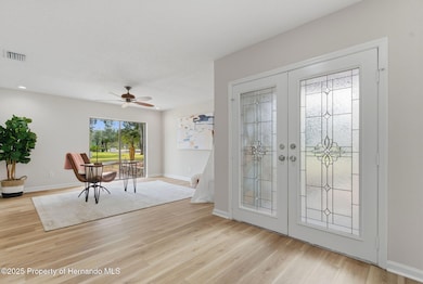 916 River Rapids Ave, Brandon, FL 33511 - photo 7