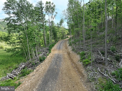 686.10 ACRES Thorn Bottom Rd, Wardensville, WV 26851 - photo 2