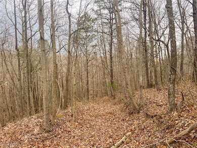 0 Ponetown Rd, Ray, OH 45672 - photo 2