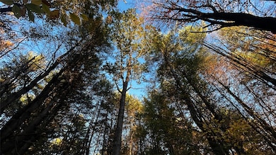 361 Dunbar Rd, Windsor, NY 13865 - photo 7