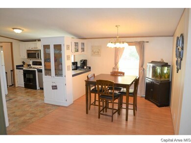 202 W Springfield St, Virginia, IL 62691 - photo 5